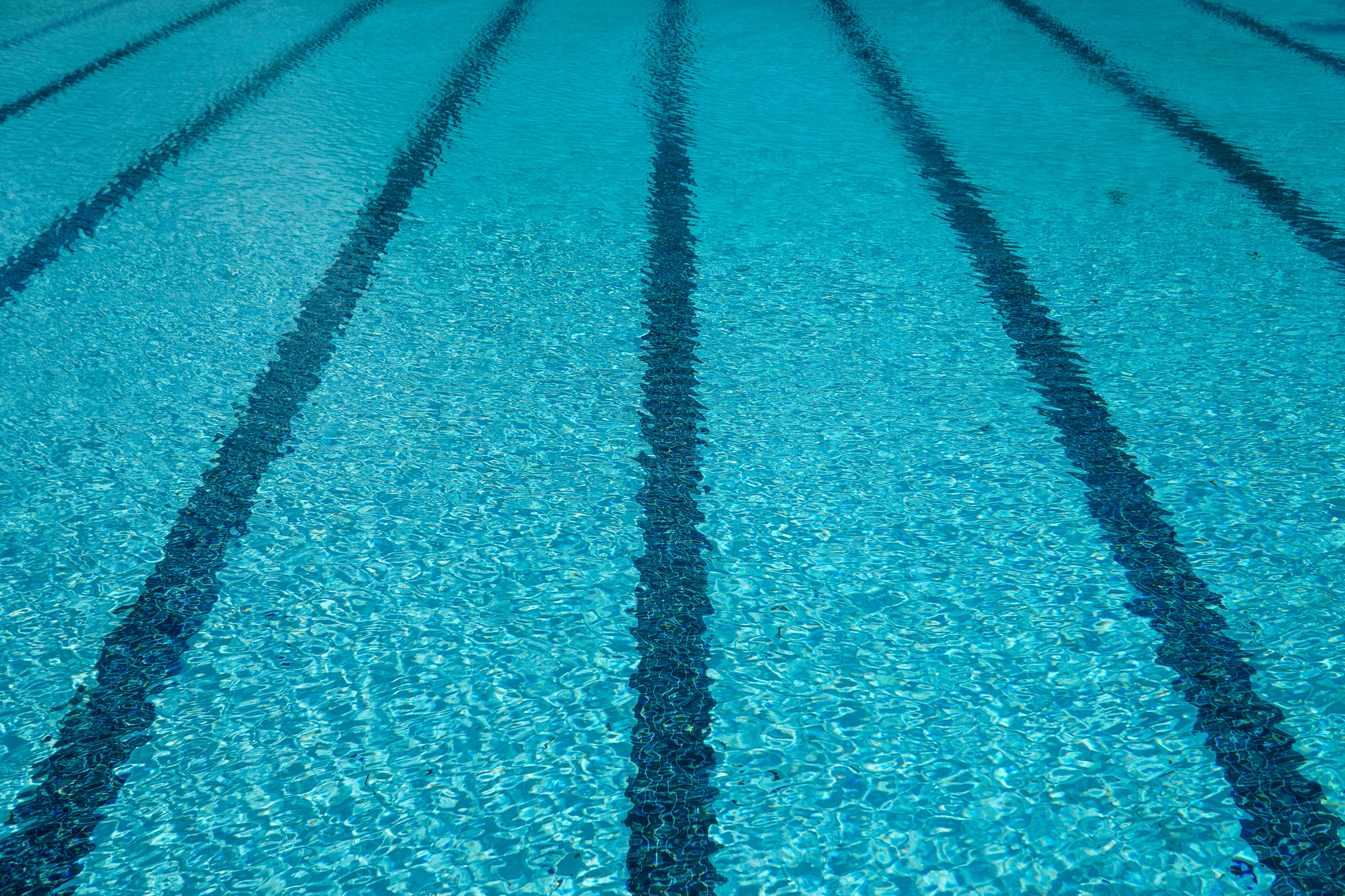 “Making Great Strides Outside the Pool: How Competitive Swimming Improved My Son’s Wellbeing”